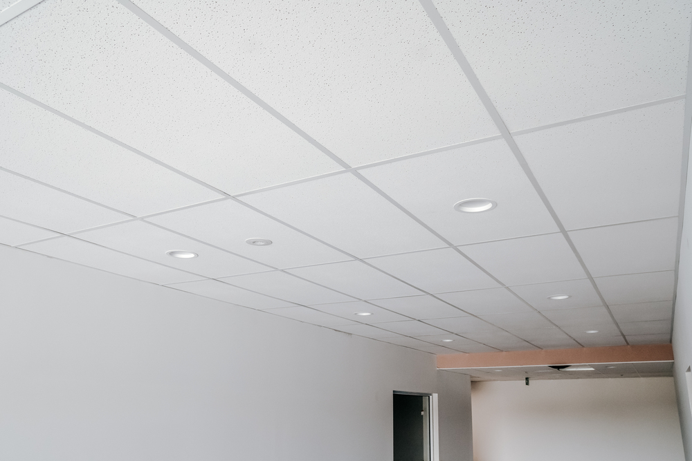 The ceiling at Casey Fields stadium, featuring Apex ceiling tiles.