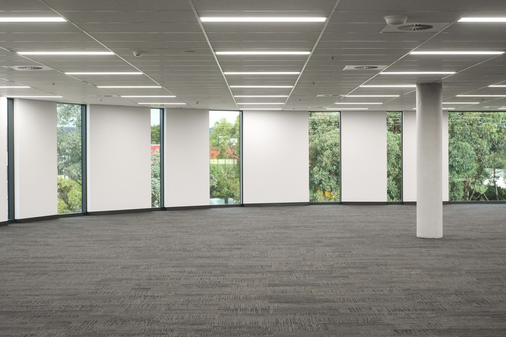 An empty office space ready for rent, with an acoustic ceiling and Apex ceiling tiles.